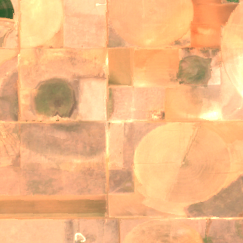 Aligned LBB-01 site on 2022-07-16, Sentinel-2 satellite true color