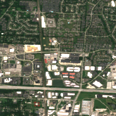 COL4 site on 2025-08-01, Sentinel-2 satellite true color