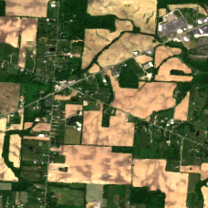 COL7 site on 2020-06-08, Sentinel-2 satellite true color