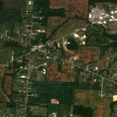 COL7 site on 2024-09-05, Sentinel-2 satellite true color