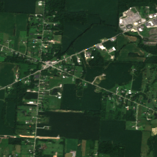 COL7 site on 2025-08-01, Sentinel-2 satellite true color