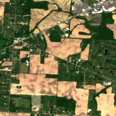 COL8 site on 2020-06-08, Sentinel-2 satellite true color
