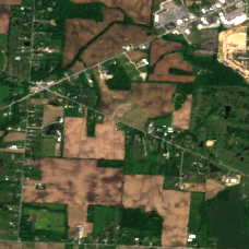 COL8 site on 2022-06-03, Sentinel-2 satellite true color