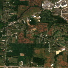 COL8 site on 2024-09-05, Sentinel-2 satellite true color