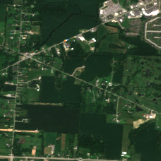 COL8 site on 2025-08-01, Sentinel-2 satellite true color
