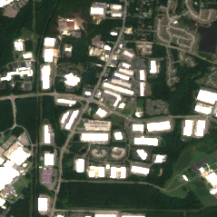 Raleigh site on 2024-08-25, Sentinel-2 satellite true color