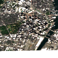 DataBank BOS1 site on 2025-08-31, Sentinel-2 satellite true color