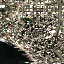 DataBank SEA1 site on 2022-08-08, Sentinel-2 satellite true color