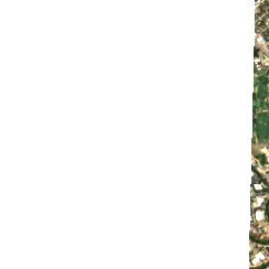 Digital Realty DFW36 site on 2020-08-19, Sentinel-2 satellite true color