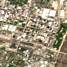 900 Walnut site on 2020-06-07, Sentinel-2 satellite true color