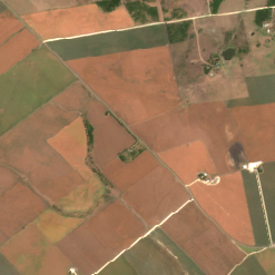 AUS01-01 site on 2018-07-01, Sentinel-2 satellite true color