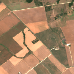 AUS01-07 site on 2020-08-14, Sentinel-2 satellite true color