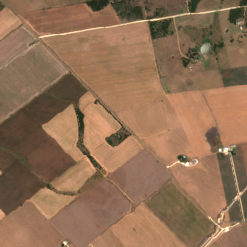 AUS01-07 site on 2024-08-21, Sentinel-2 satellite true color